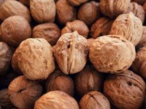 Nüsse, Kerne und Samen